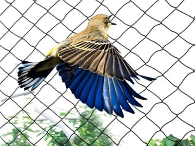 Anti Bird Nets