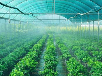 Shade Nets in Hyderabad