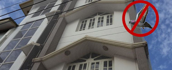 Pigeon Safety Nets in Hyderabad